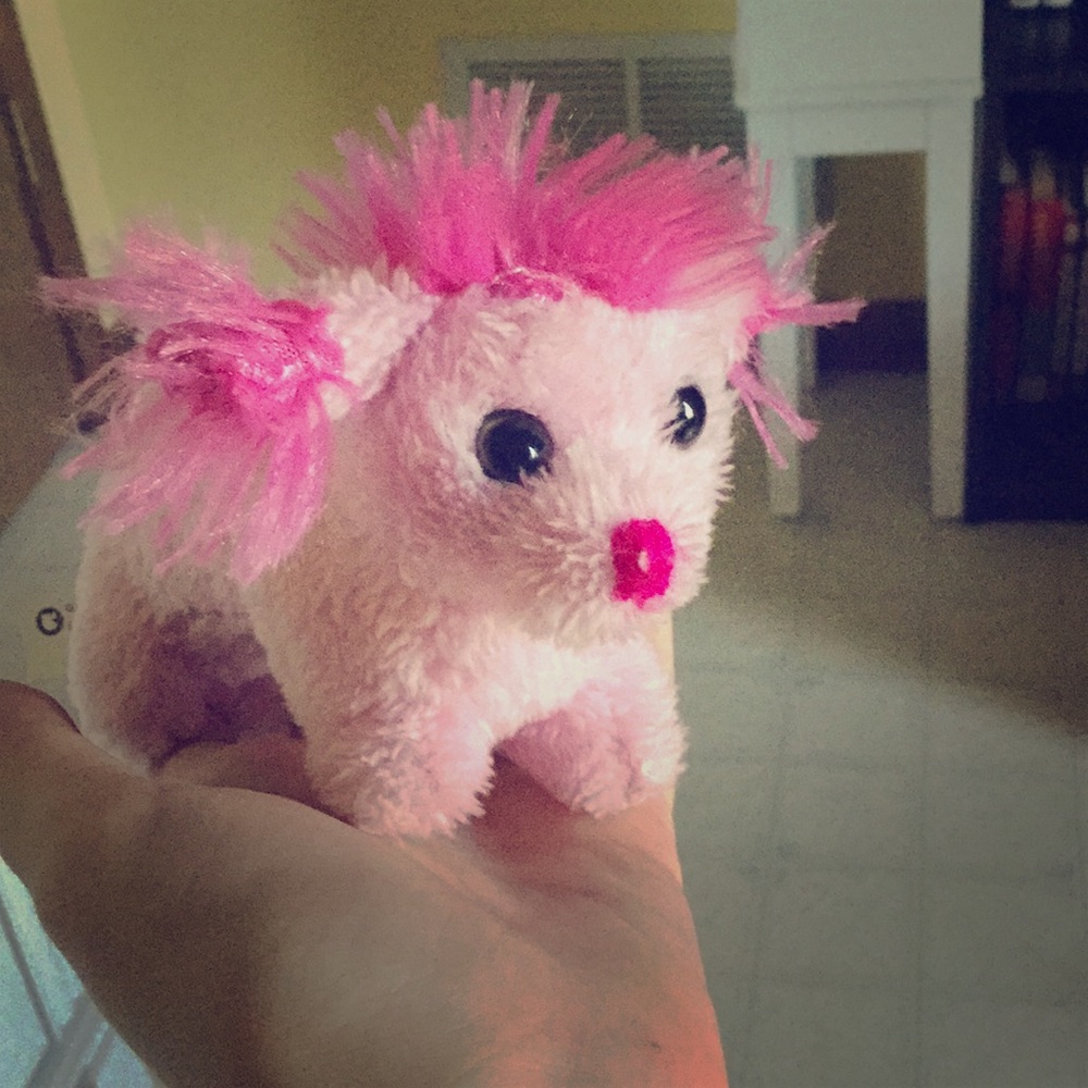 Beanie baby